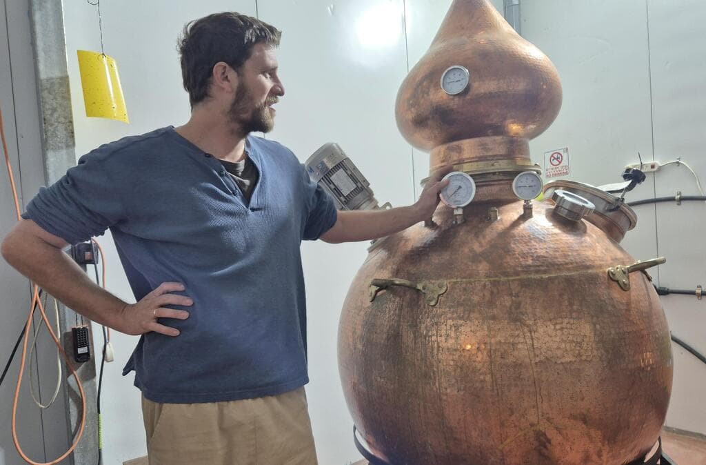 עודפי התמרים הם חומר גלם מצוין. יוני גרעיני, מזקקת הערבה