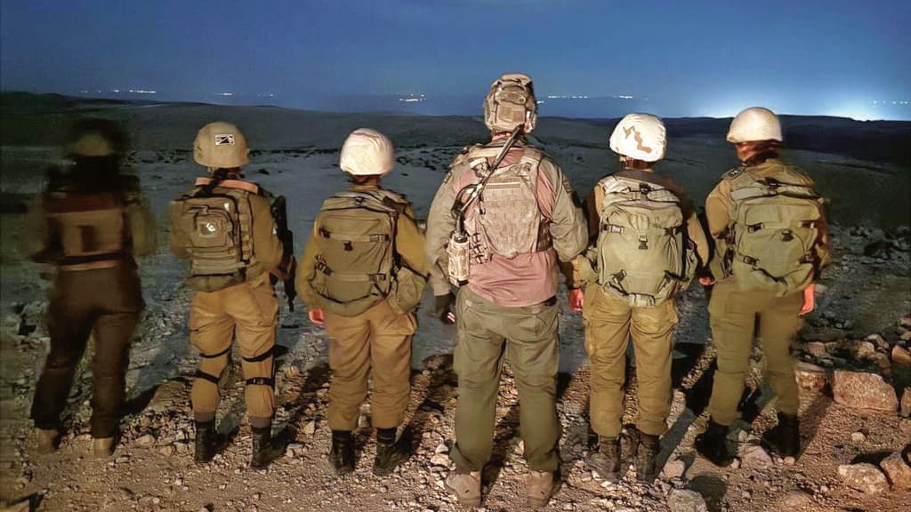 לוחמת לוחמה אלקטרונית