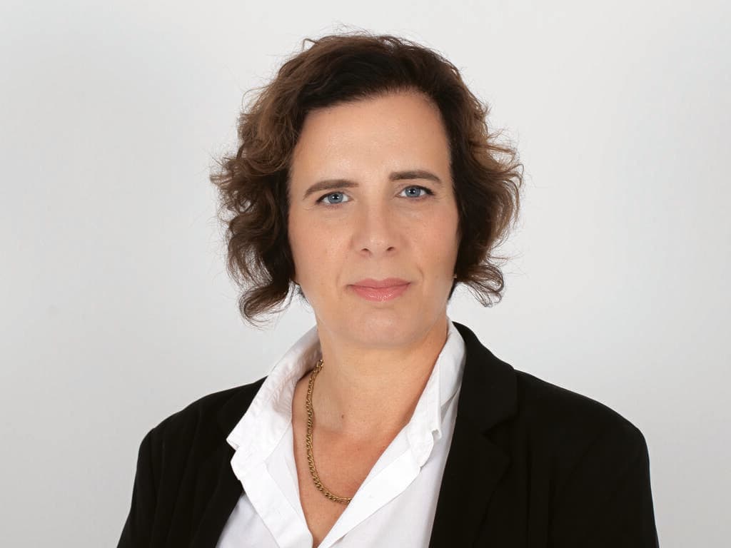 טל מילס