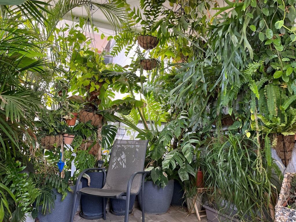 דירה מלאה בצמחים בראשון לציון