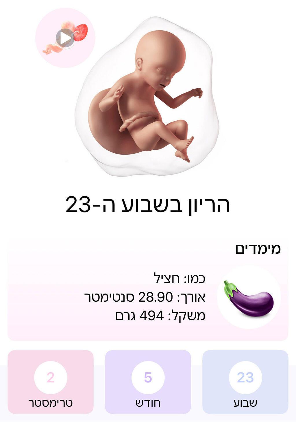 פורטי אפליקציה היריון ולידה