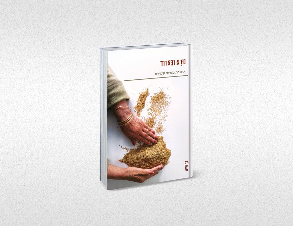 עטיפת הספר