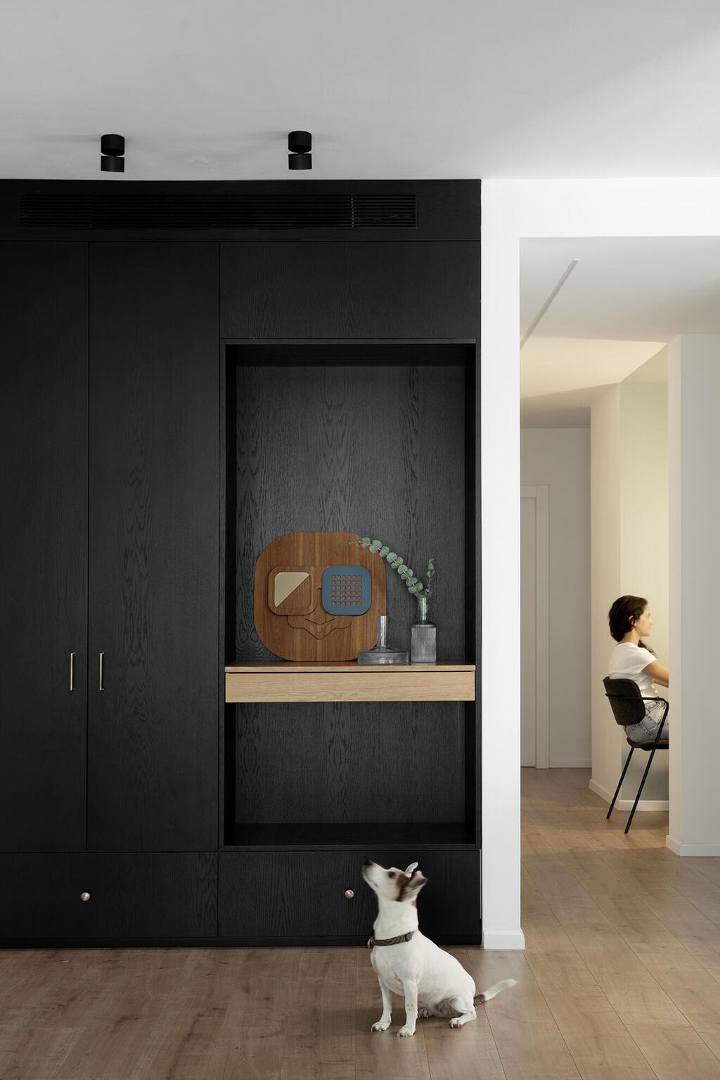 ארון כניסה שחור במקום פינת אוכל (צילום: גדעון לוין - 181maalot) שיפוץ דירת גן במודיעין, עיצוב: נעמה בראונשטיין