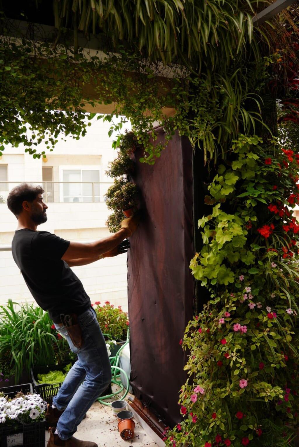 מרפסת עם קירות ירוקים