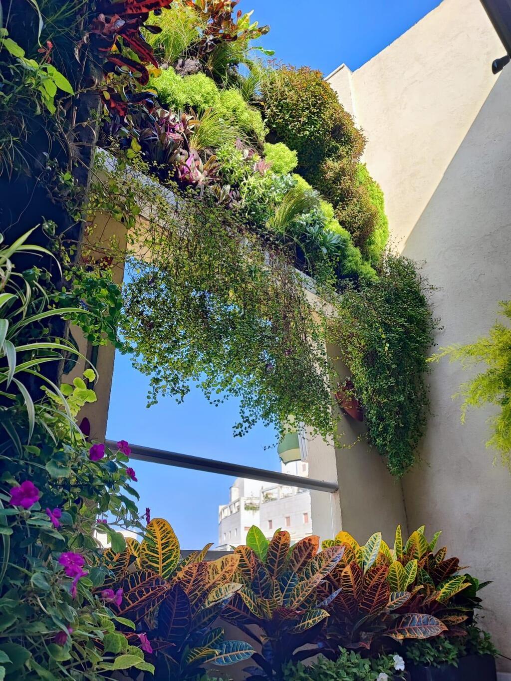 מרפסת עם קירות ירוקים