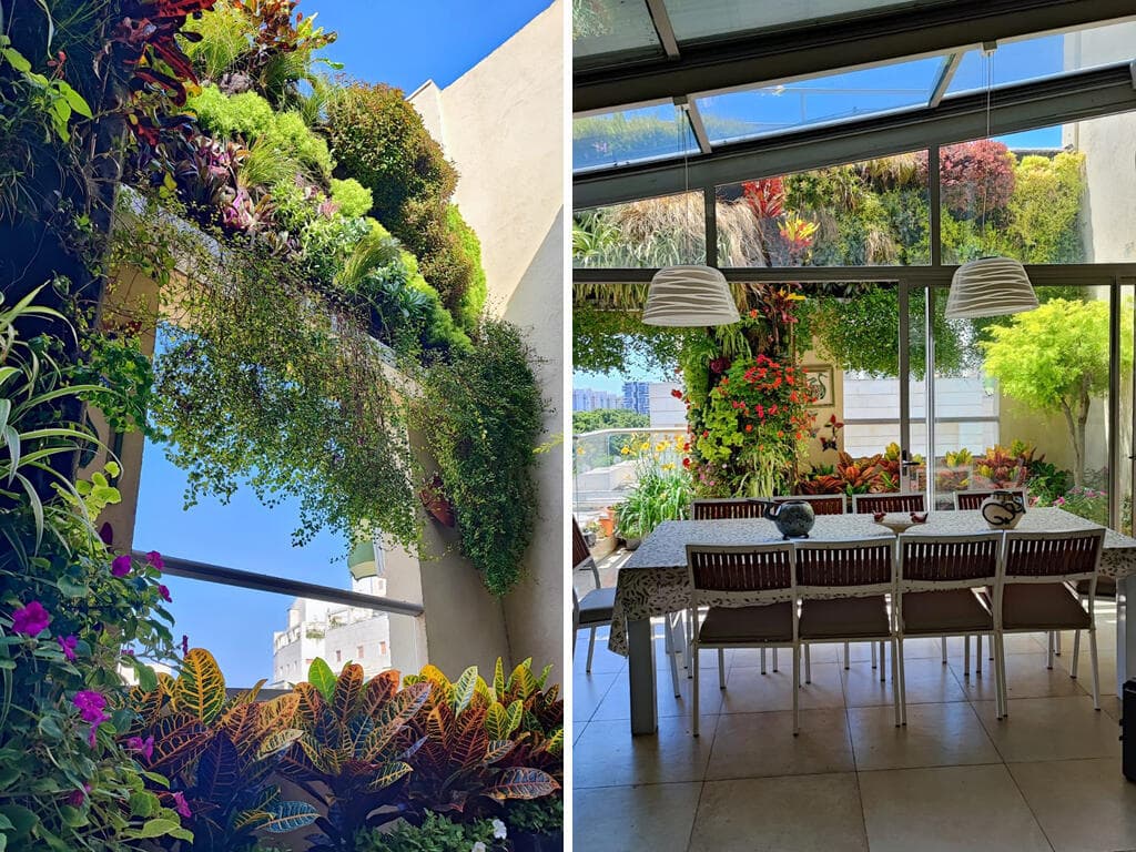 מרפסת עם קירות ירוקים