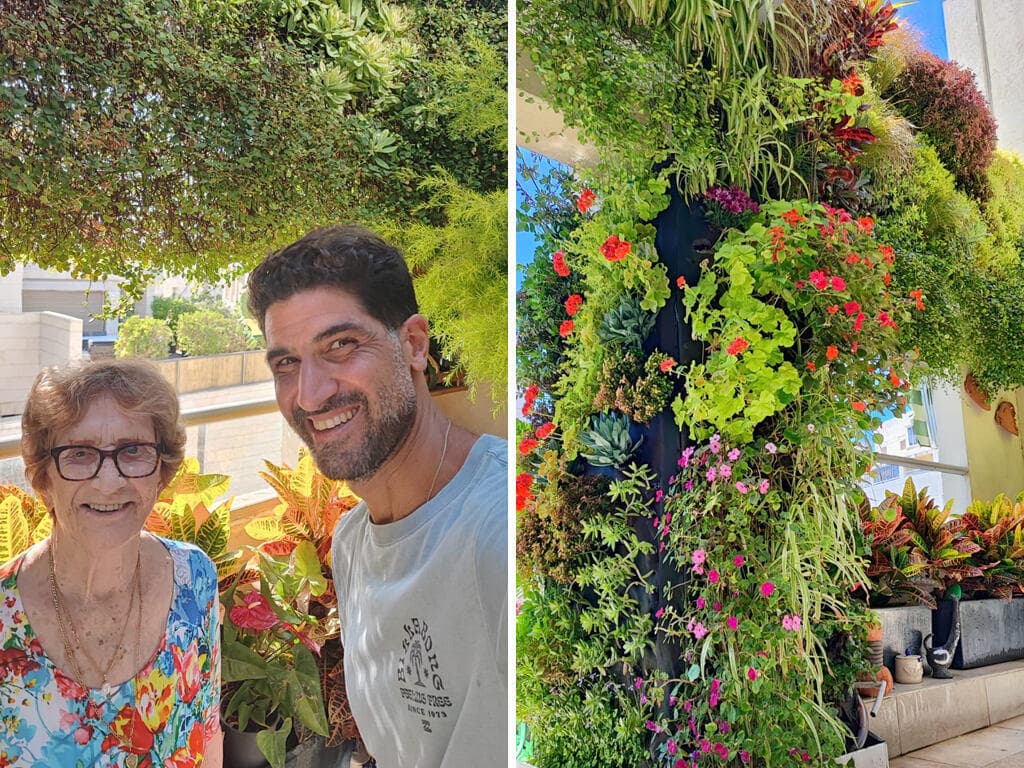 מרפסת עם קירות ירוקים