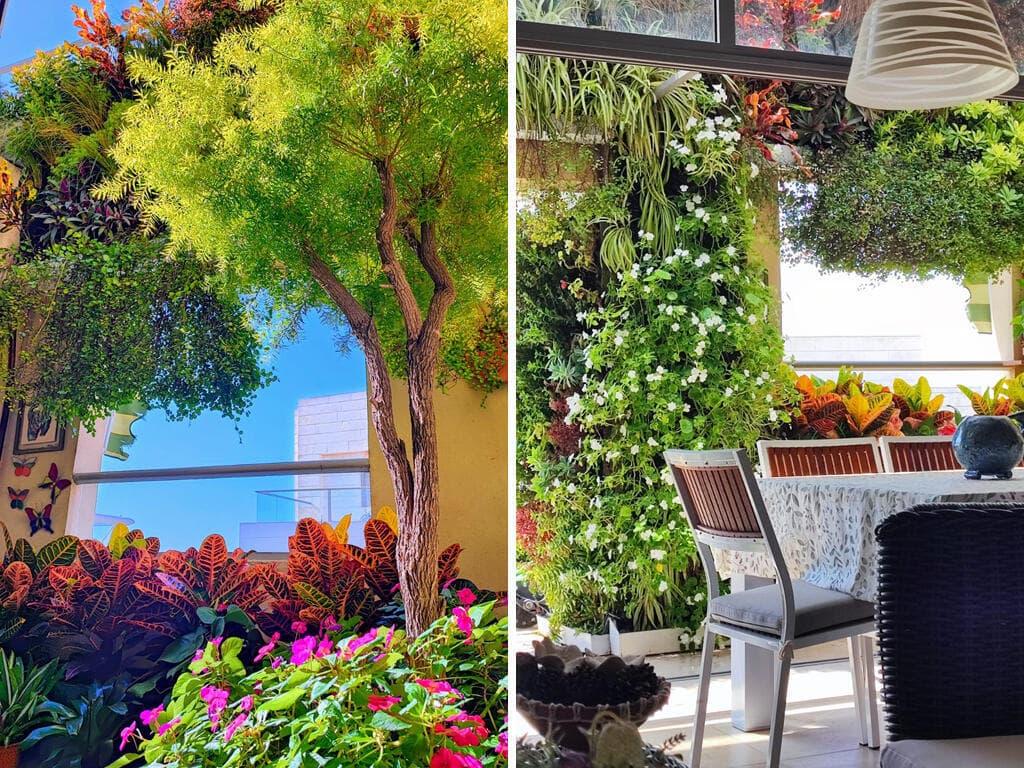 מרפסת עם קירות ירוקים