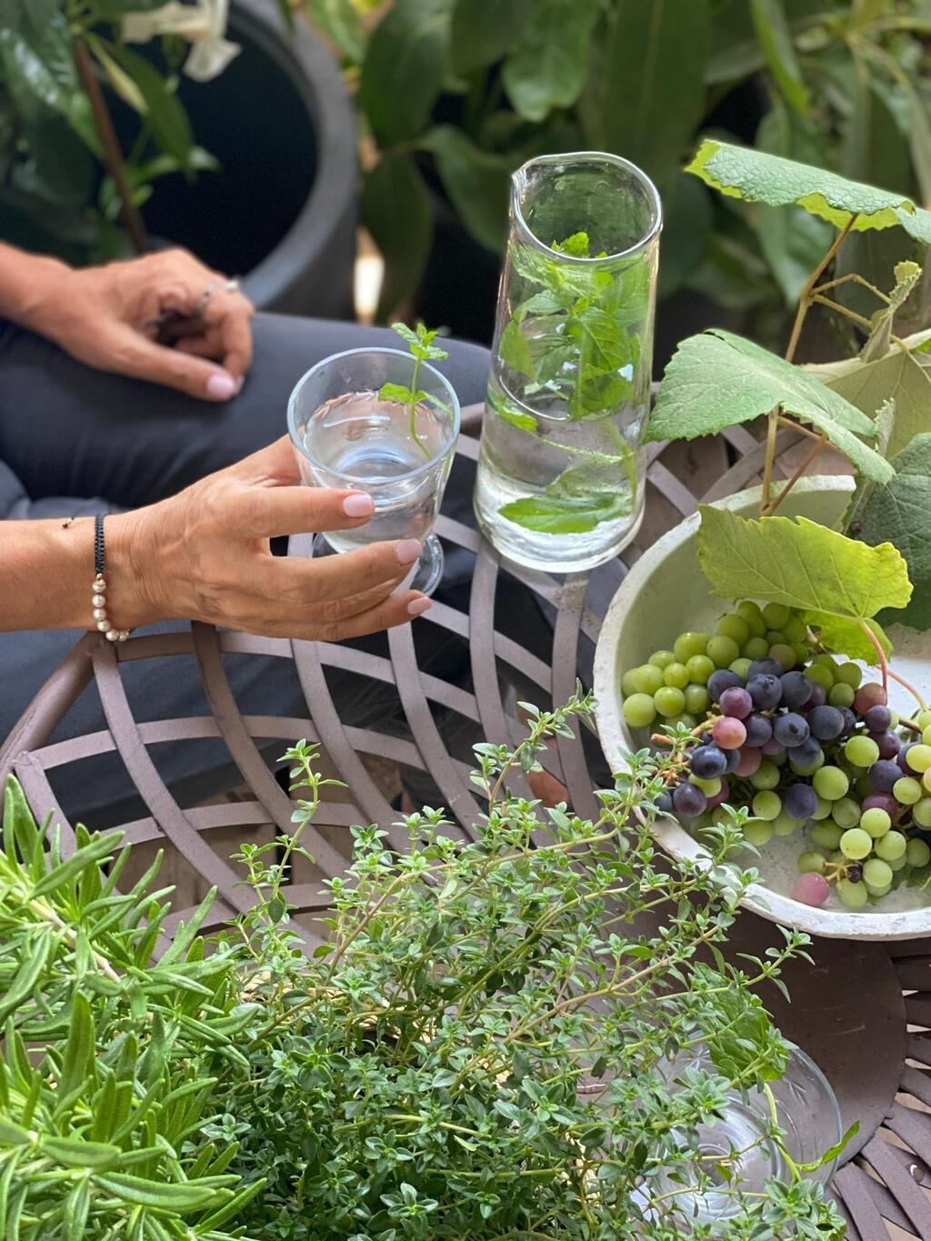 כדאי לבחור בצמחים רב-שנתיים שדורשים תחזוקה נמוכה יחסית (צילום: אמיר עבדת) 5 טעויות בגידול צמחים בבית