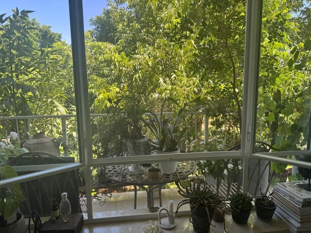 רוזמרין, לבנדר, מרווה, סוקולנטים, קקטוסים, ליריופה ודורנטה ננסית יהיו בחירה טובה (צילום: אמיר עבדת) 5 טעויות בגידול צמחים בבית