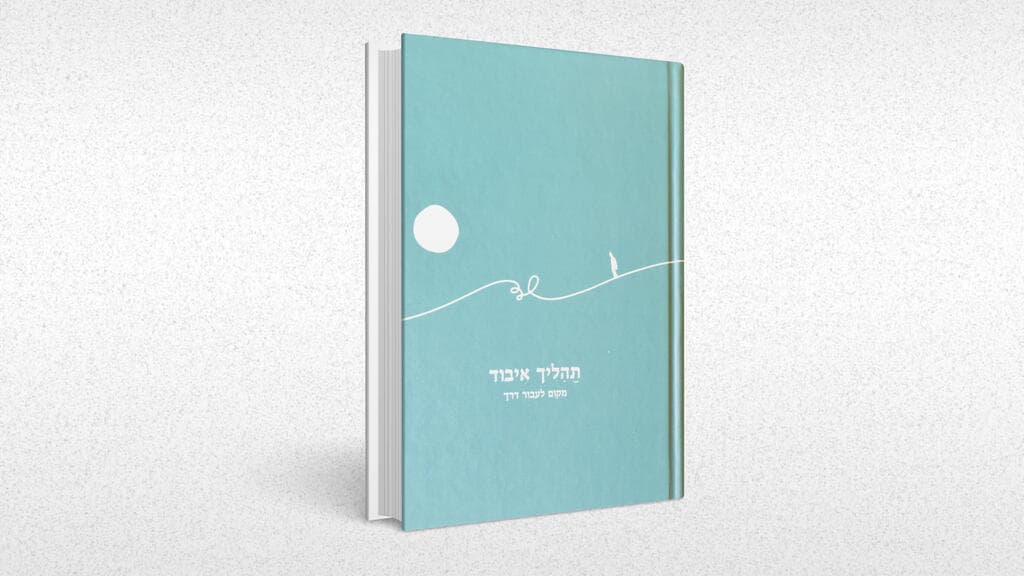 עטיפת הספר