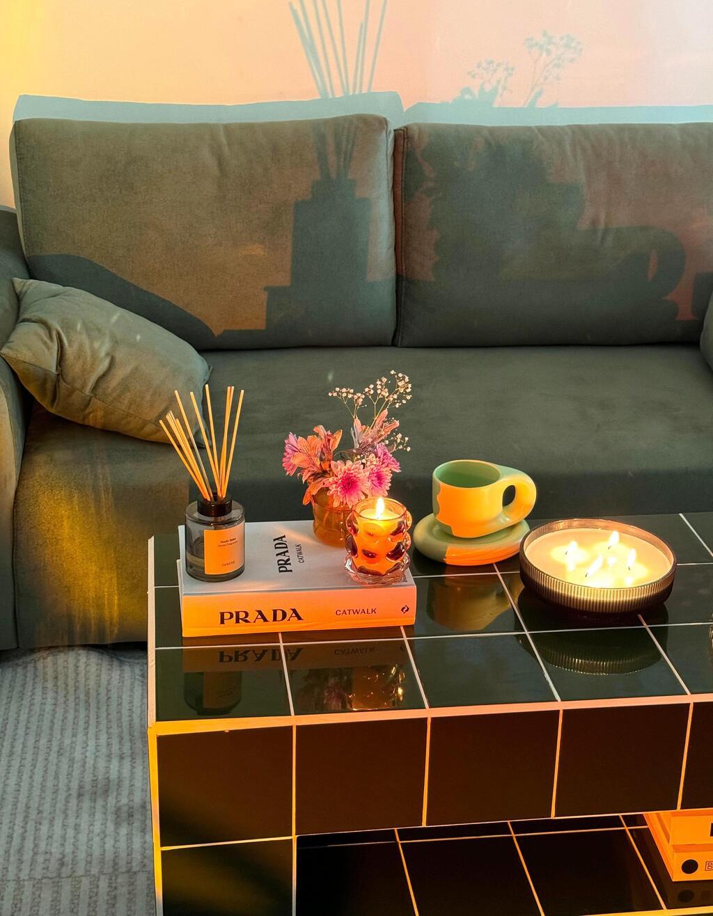 הדירה שכורה של ליה נגה