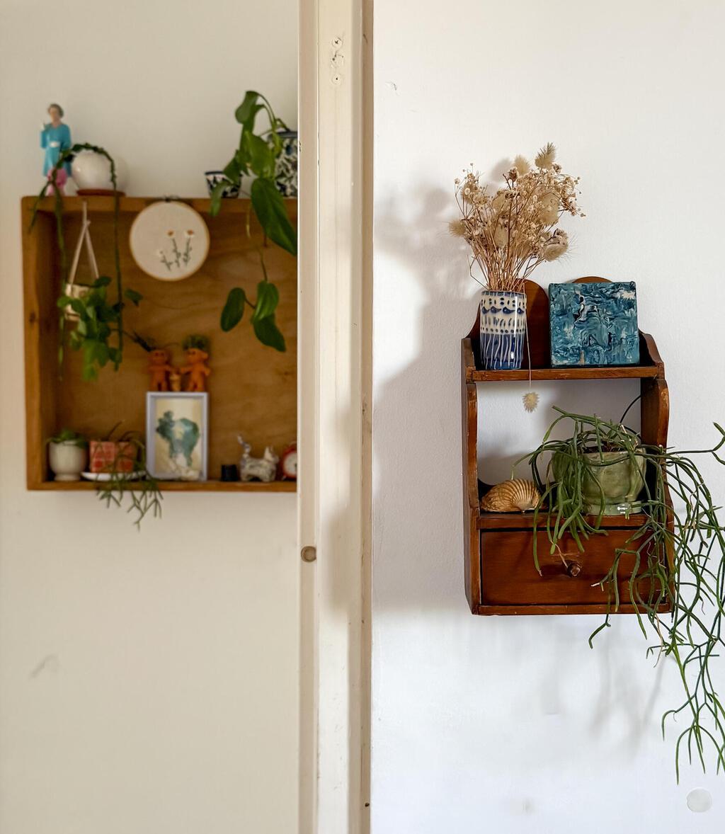 הבית של מירב רוזנברג, מלכת העציצים