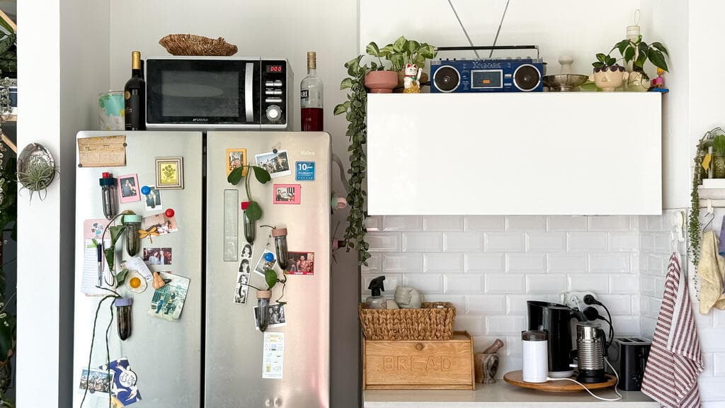 הבית של מירב רוזנברג, מלכת העציצים