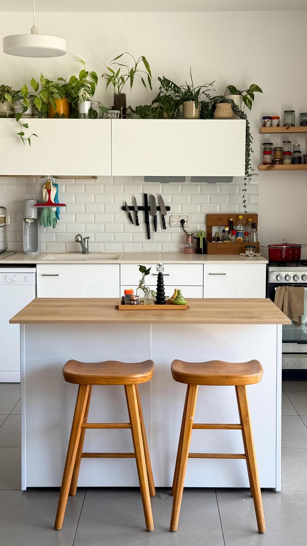 הבית של מירב רוזנברג, מלכת העציצים