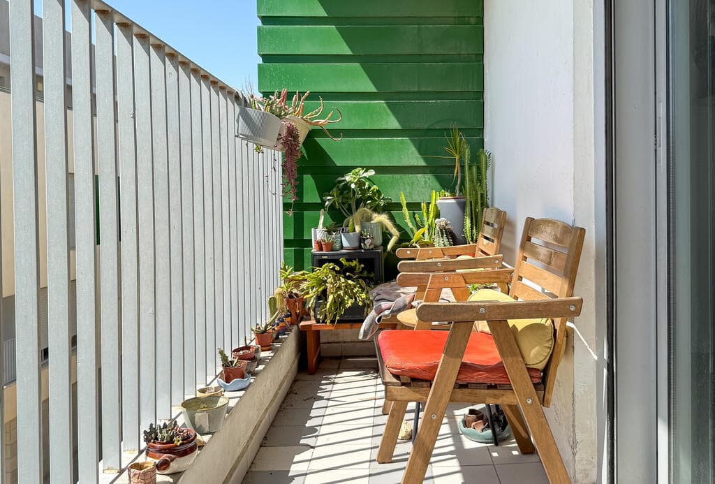 הבית של מירב רוזנברג, מלכת העציצים