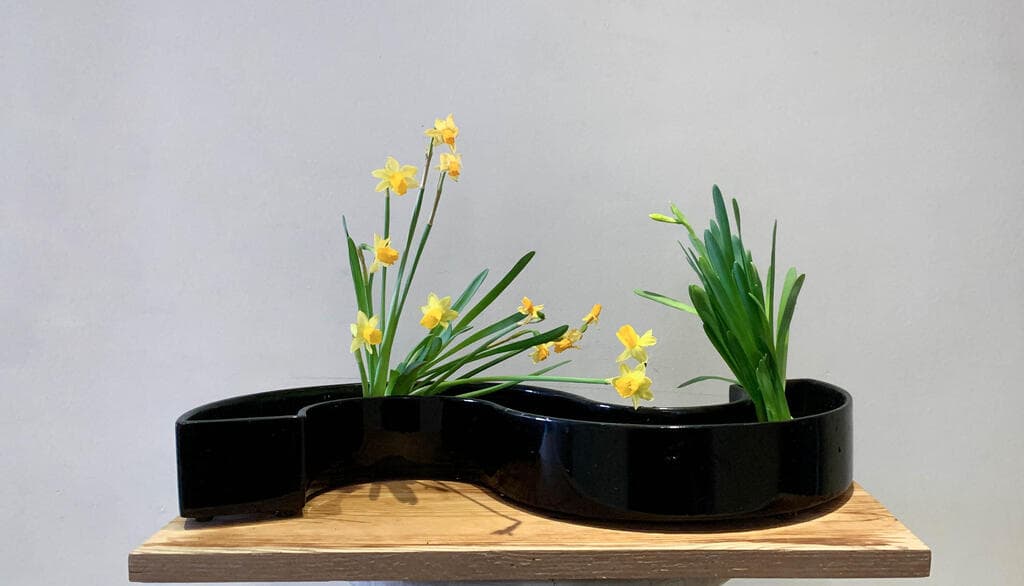 לא שטחי, אלא עמוק ונוגע בנימי הנפש. איקבנה (צילום: Fiammetta Martegani) איקבנה