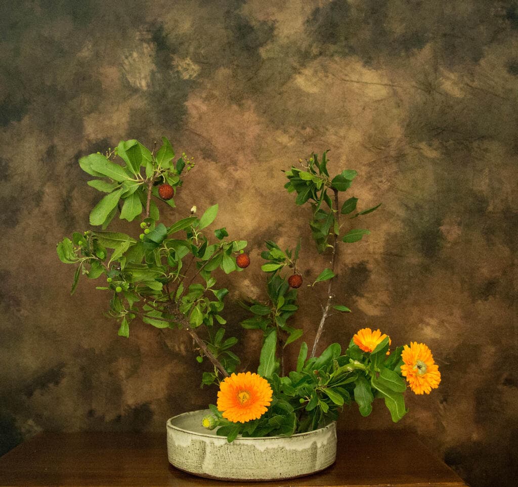 חיפוש האיזון באי־סימטריה, השלמות שבחוסר השלמות. איקבנה (צילום: Fiammetta Martegani) איקבנה