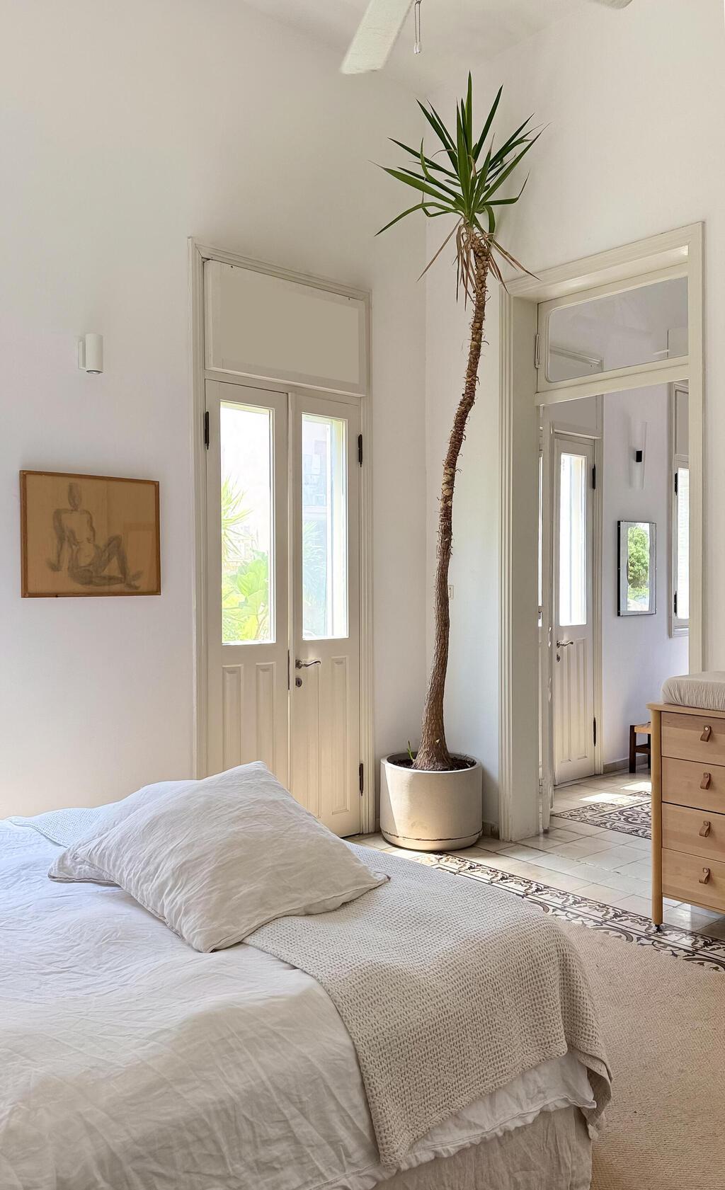 הבית של דניאל קדם ביפו