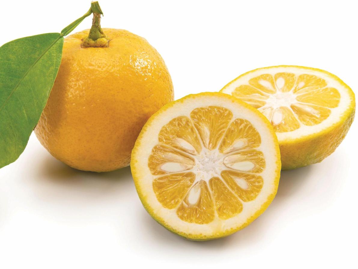 תפוז מר. בקליפת הפרי נמצא החומר הפעיל סינפרין, שמעורר את חילוף החומרים בגוף