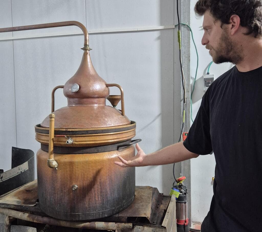 יון זרעוני, מזקקת ערבה. ג'ין, ערק וברנדי מתמרים