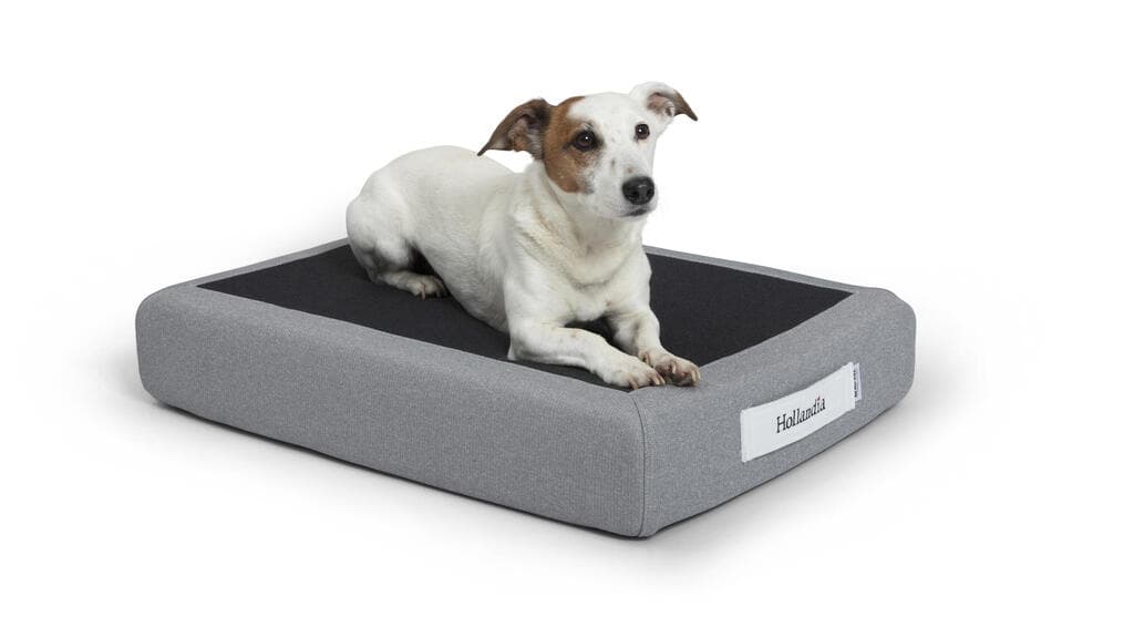 מזרן טמפור לכלב הולנדיה