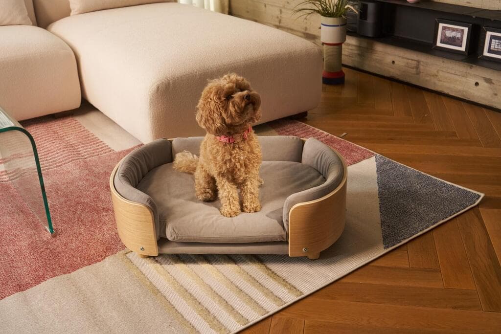 מיטה לכלב של נאפו 990 שקל