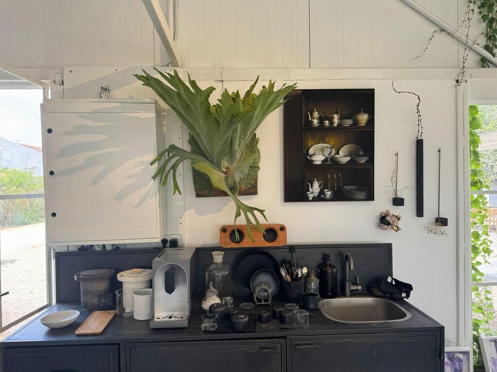 שרך קרן האייל