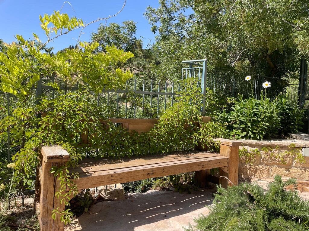 מקום לשיחות ולמפגשים בחצר (צילום: חיים ברגיג) בית השנטי החדש, עין הכרם, ירושלים