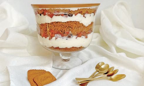 טרייפל לוטוס של תומר אומנסקי