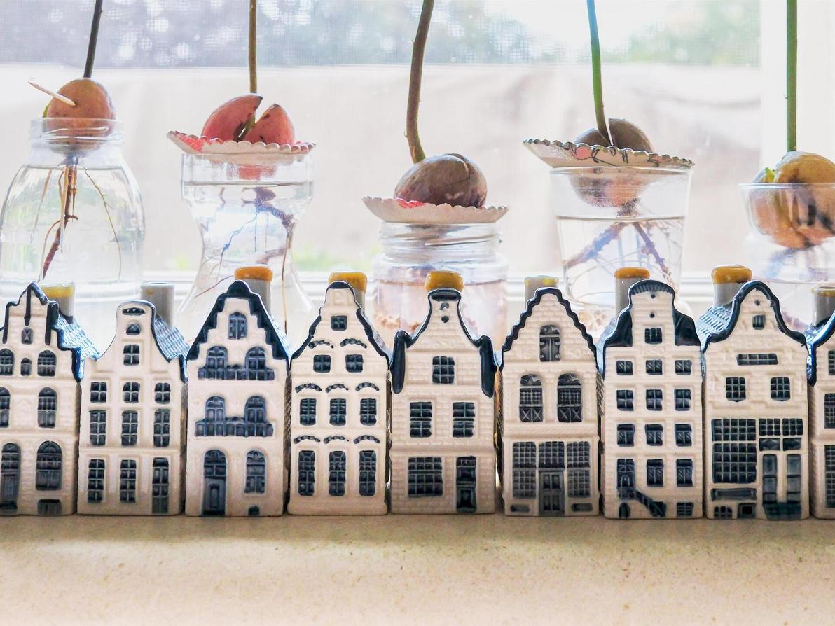 בתי KLM, האוסף של הדס אפרתי