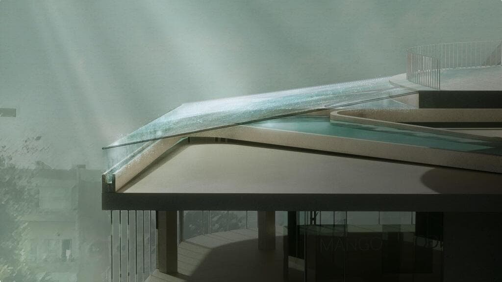 ההצעה של נטע כהן ליה שטיינברג