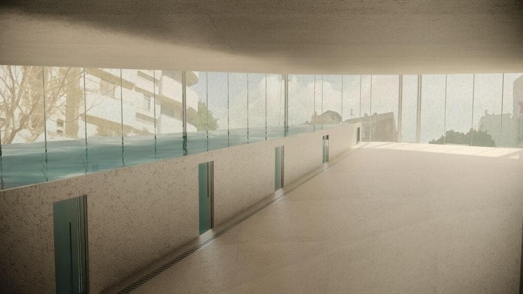 ההצעה של נטע כהן ליה שטיינברג