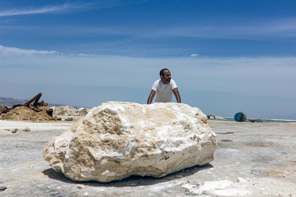 ארז נאבי פנה בים המלח