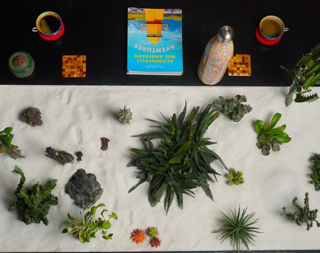 שפע של צמחים בדירה בשכונת שפירא