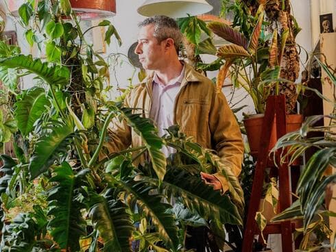 שפע של צמחים בדירה בשכונת שפירא