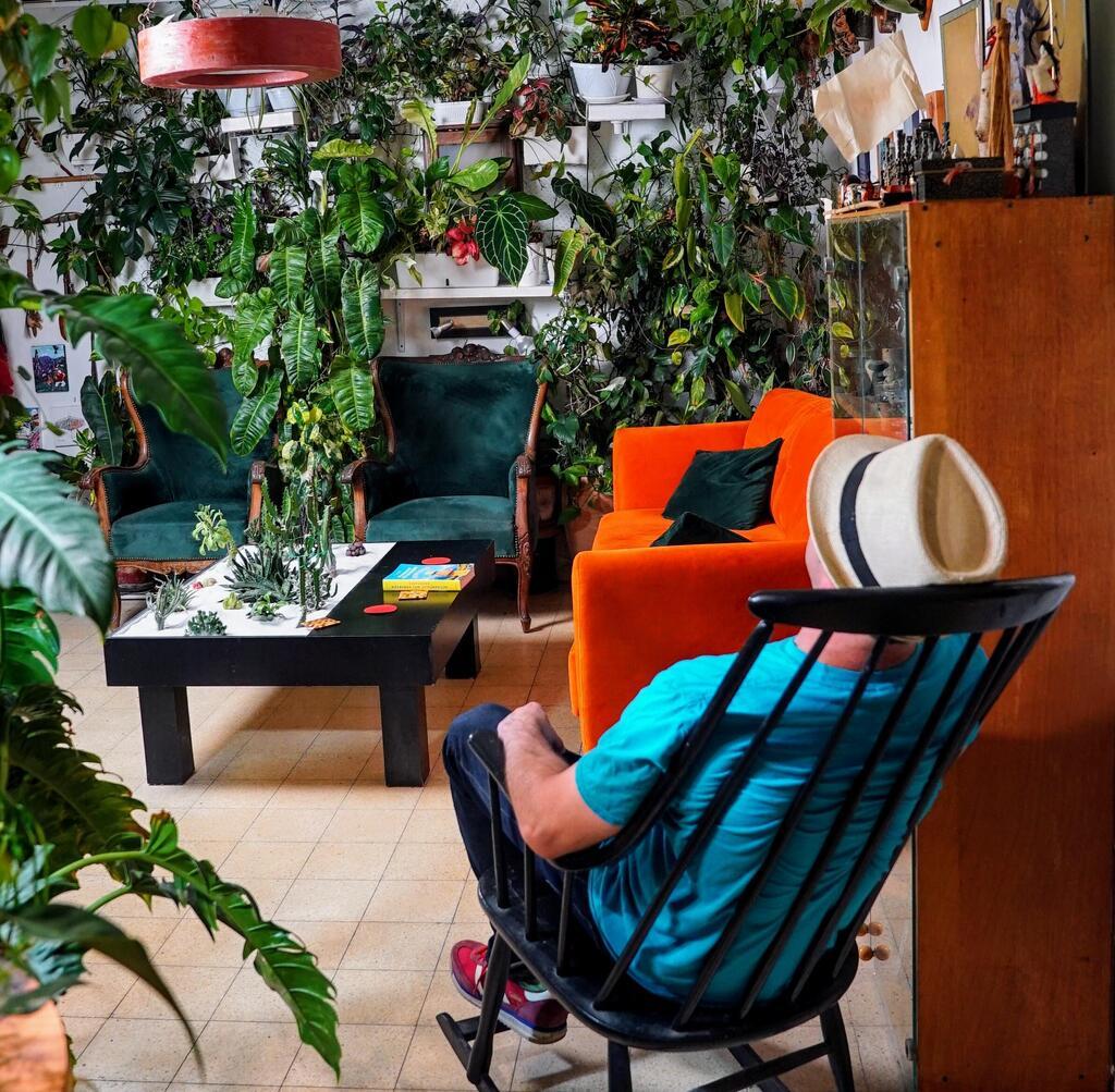 שפע של צמחים בדירה בשכונת שפירא