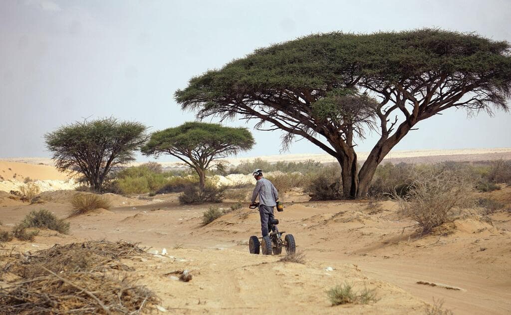 נחל ניצנה. נוף של סוואנה אפריקאית בטיול על גבי רכב השטח איזי-ריידר