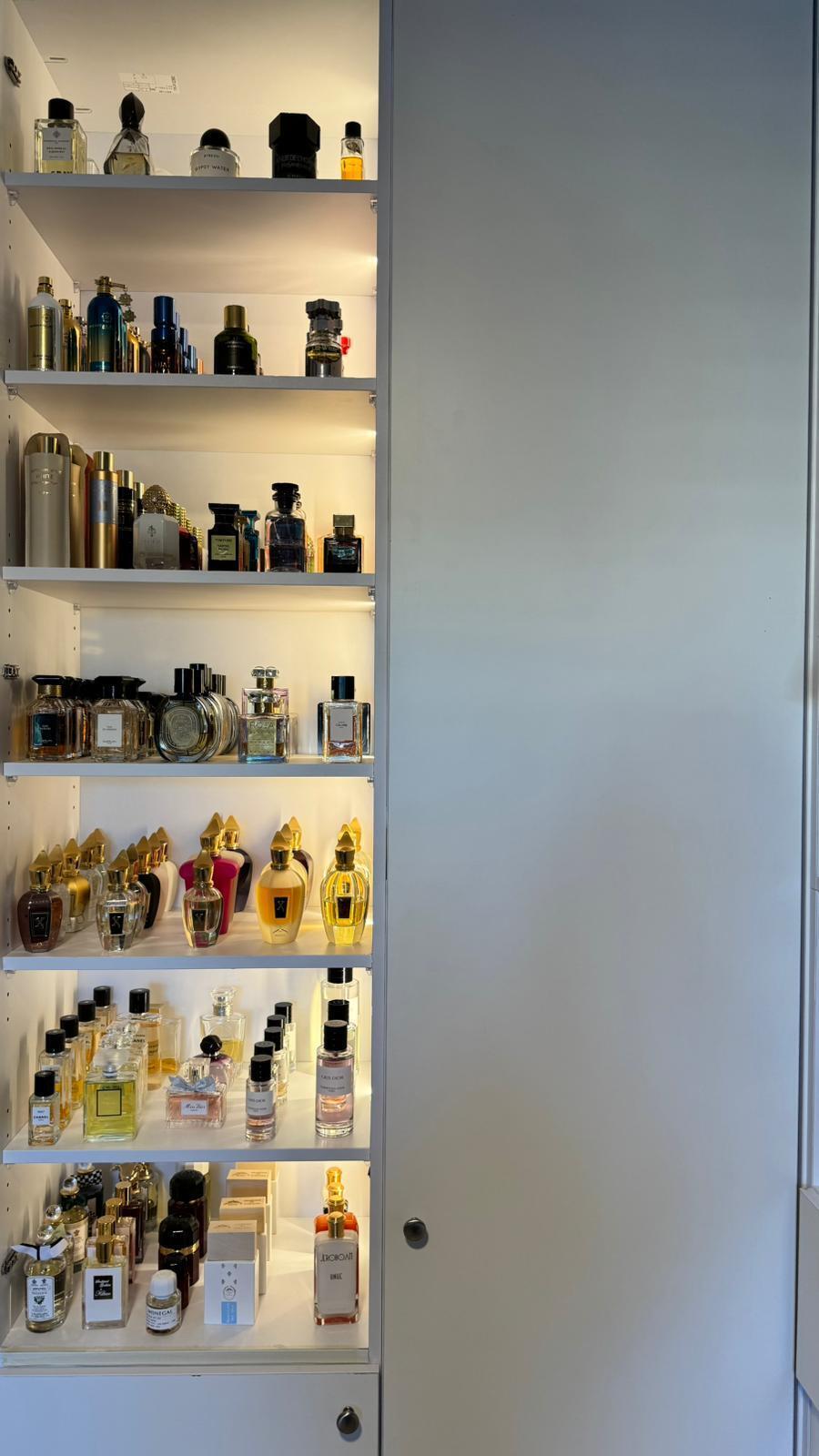 חלק מהארון של רום גיני־בלצר