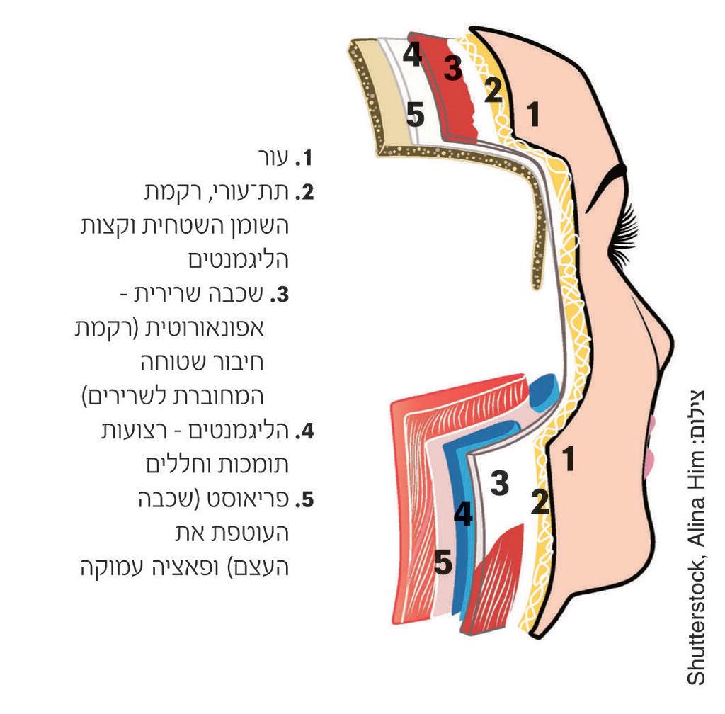 שיטת חמשת השלבים של ד"ר נעמי שרון