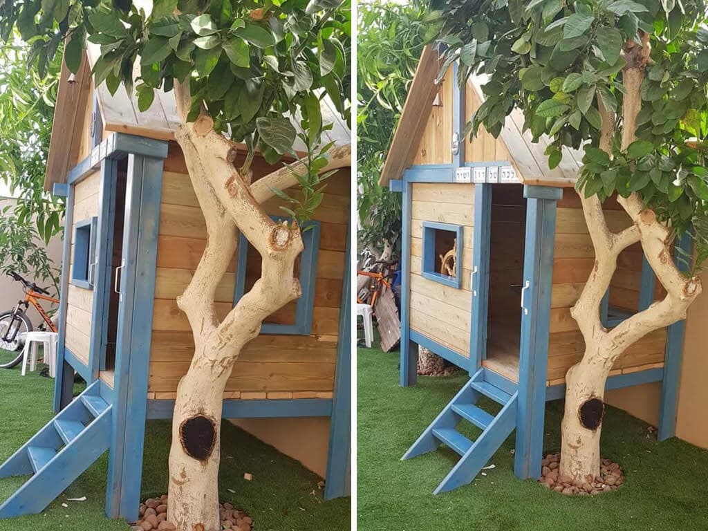 בית העץ של אלון כהן