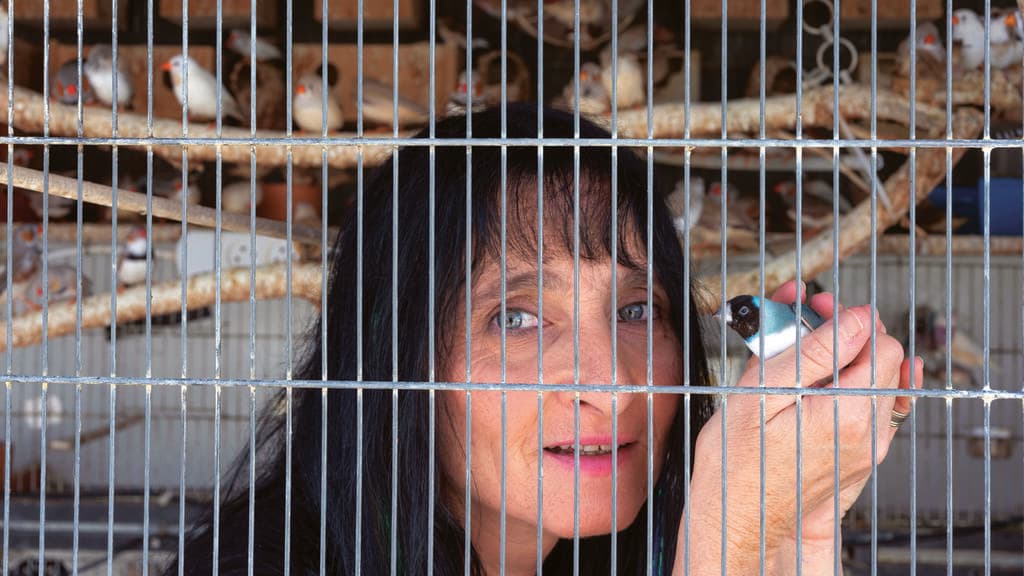 יעל כהן, מתופפת להקת "המכשפות" (צילום: יובל חן) יעל כהן, מתופפת להקת "המכשפות"