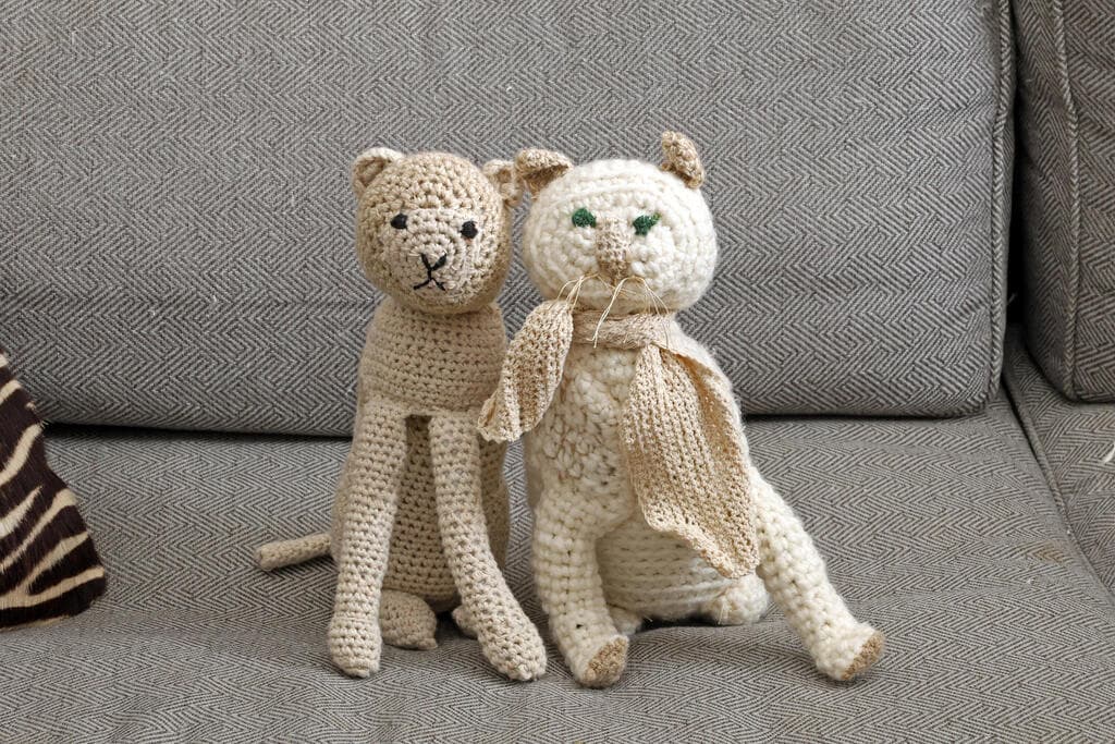 הבית של רותי ברודו