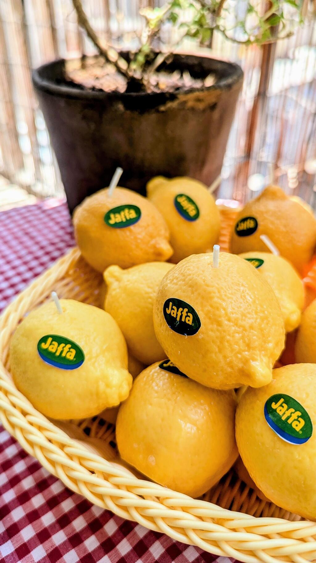 הנרות של candlelight, כריסטינה צוובנר