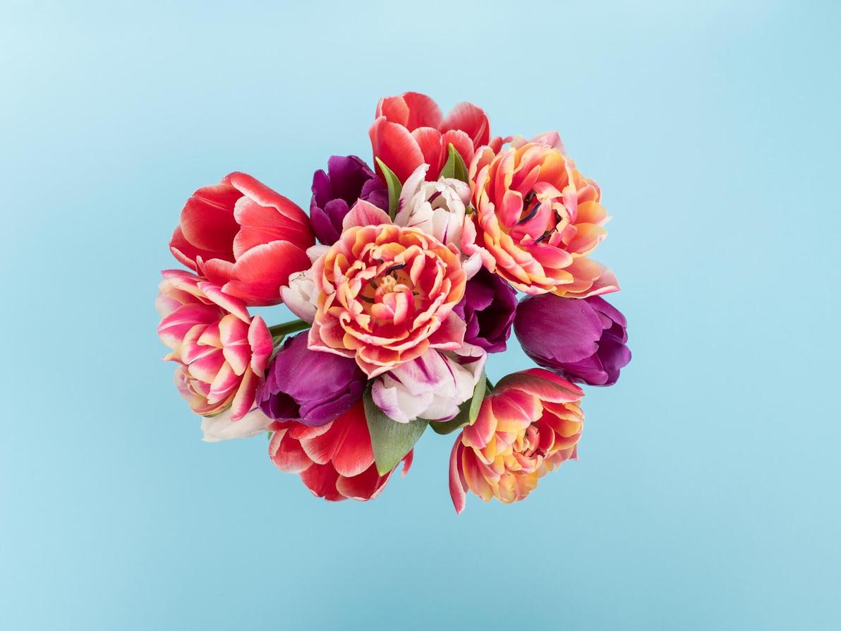 אגרטל, זר פרחים