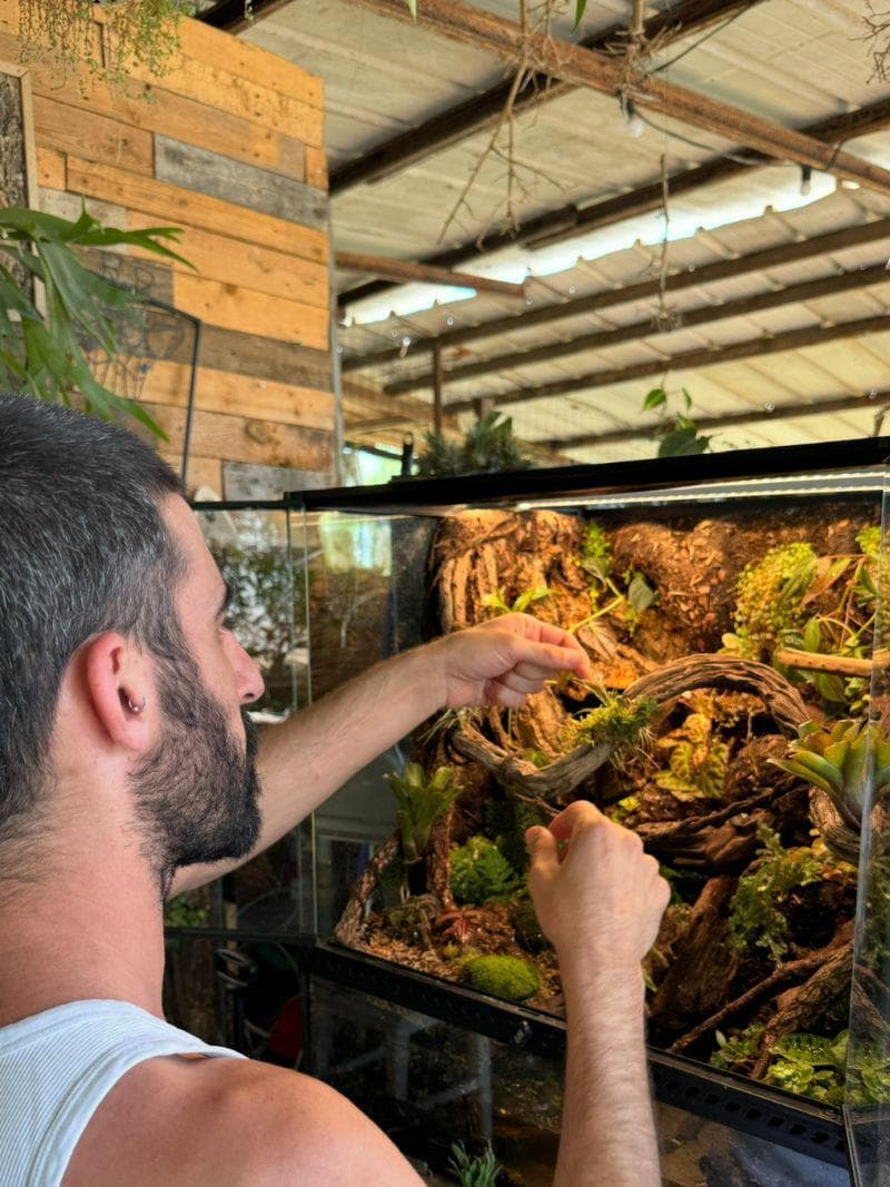 אוהב להנגיש את העולם הזה בצורה נכונה (צילום: צור רונן אמסלם) ד"ר צור רונן אמסלם