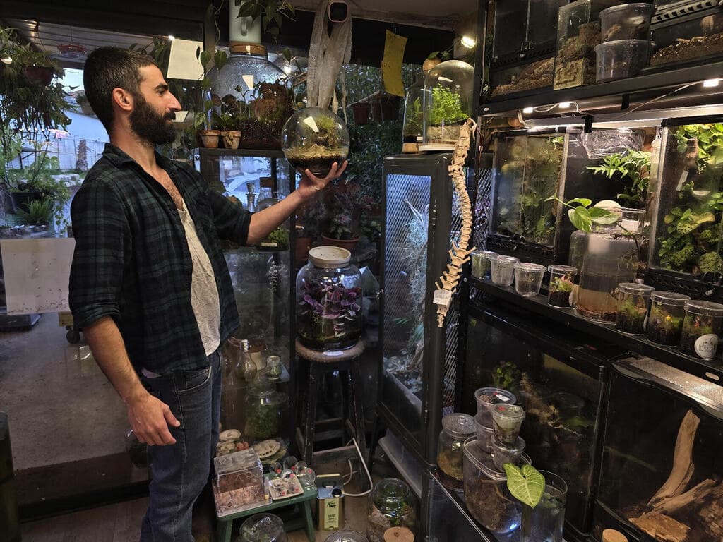 ובקריירה החדשה - מתמחה ביצירת טרריומים ועריכת סדנאות בנושא (צילום: אורנה בן חיים) ד"ר צור רונן אמסלם, טרריום