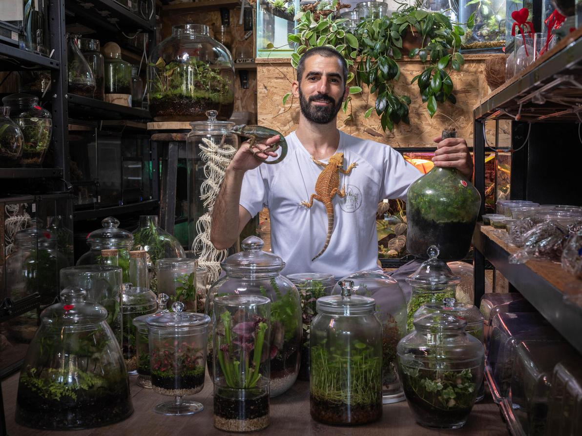 ד"ר צור רונן אמסלם מוקף טרריום (צילום: יובל חן) ד"ר צור רונן אמסלם, טרריום