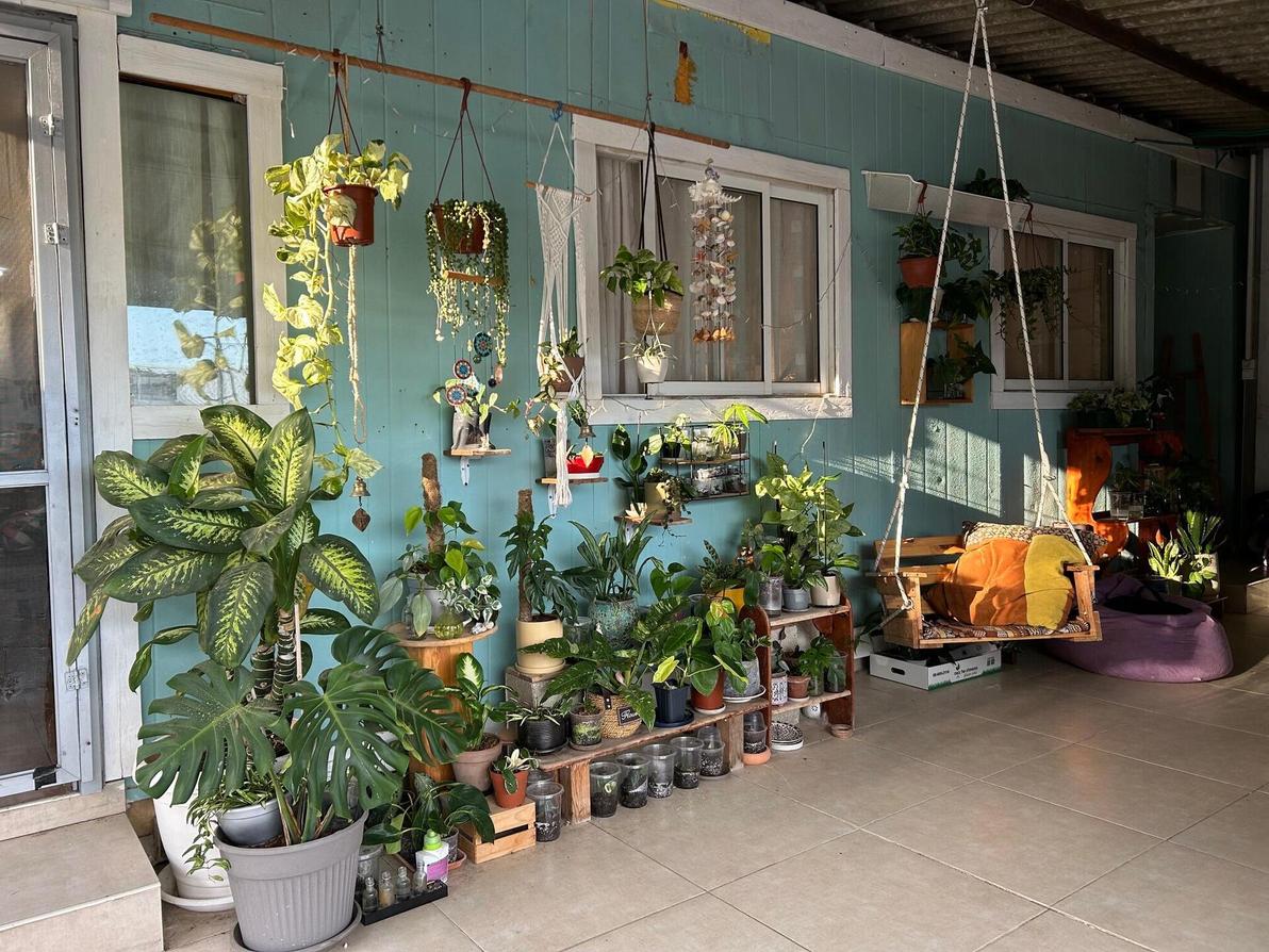 מגדלת שפע עציצים בבית הוריה במושב