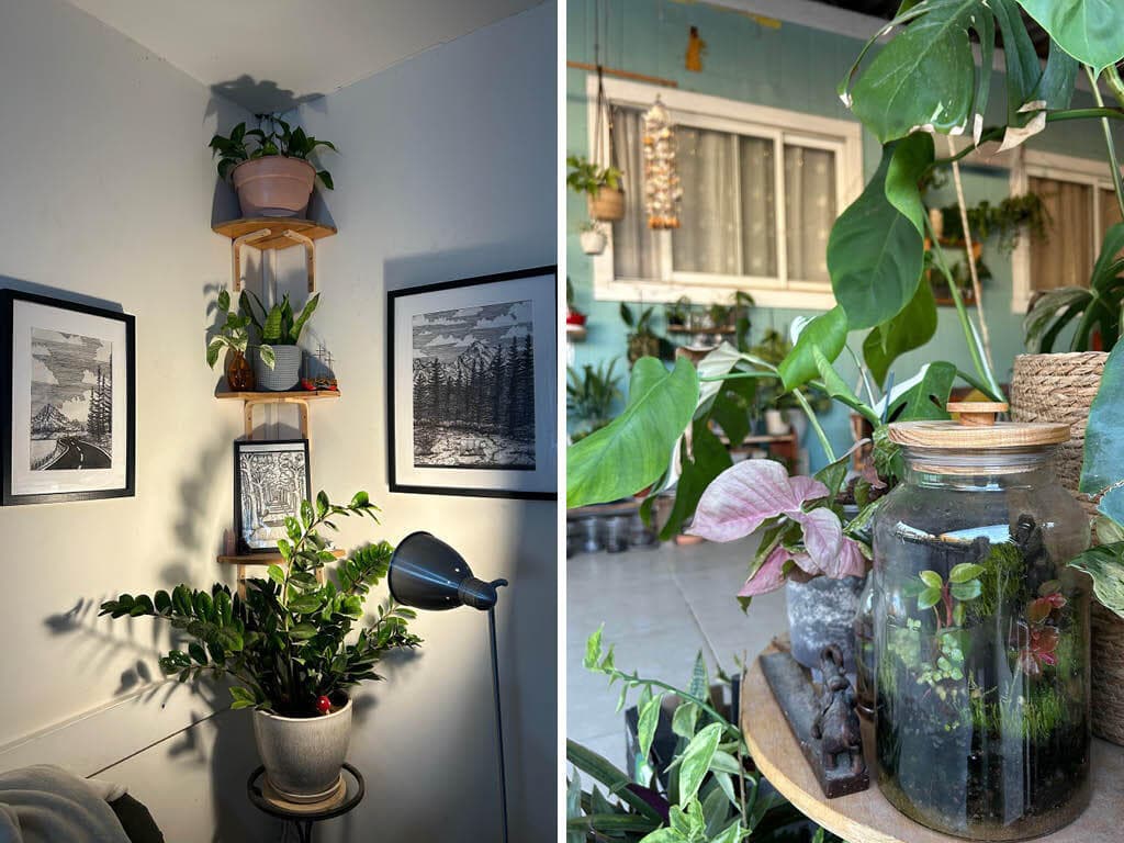 מגדלת עציצים בבית הוריה במושב